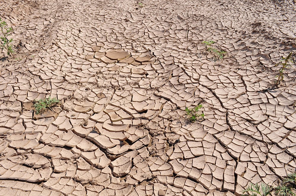 Drought image