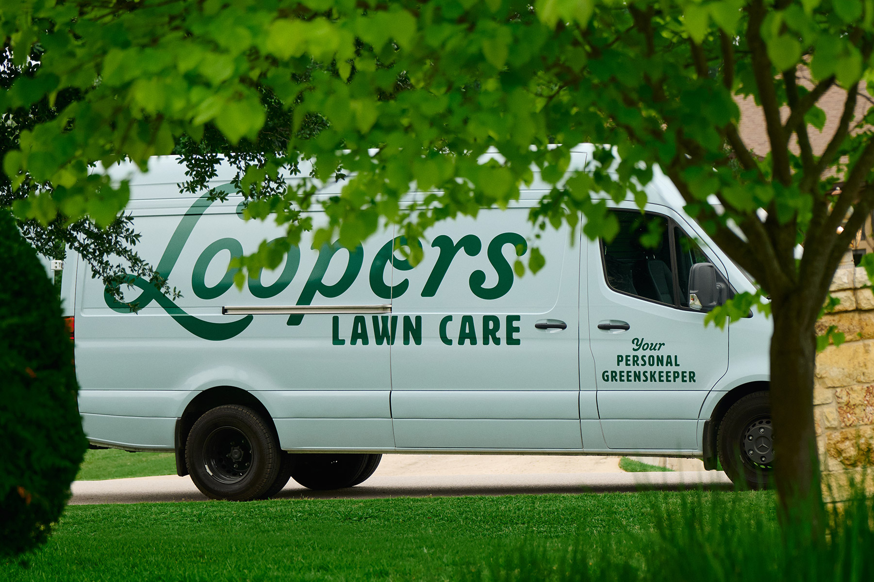fave canopy loopers van parked framed grass tree