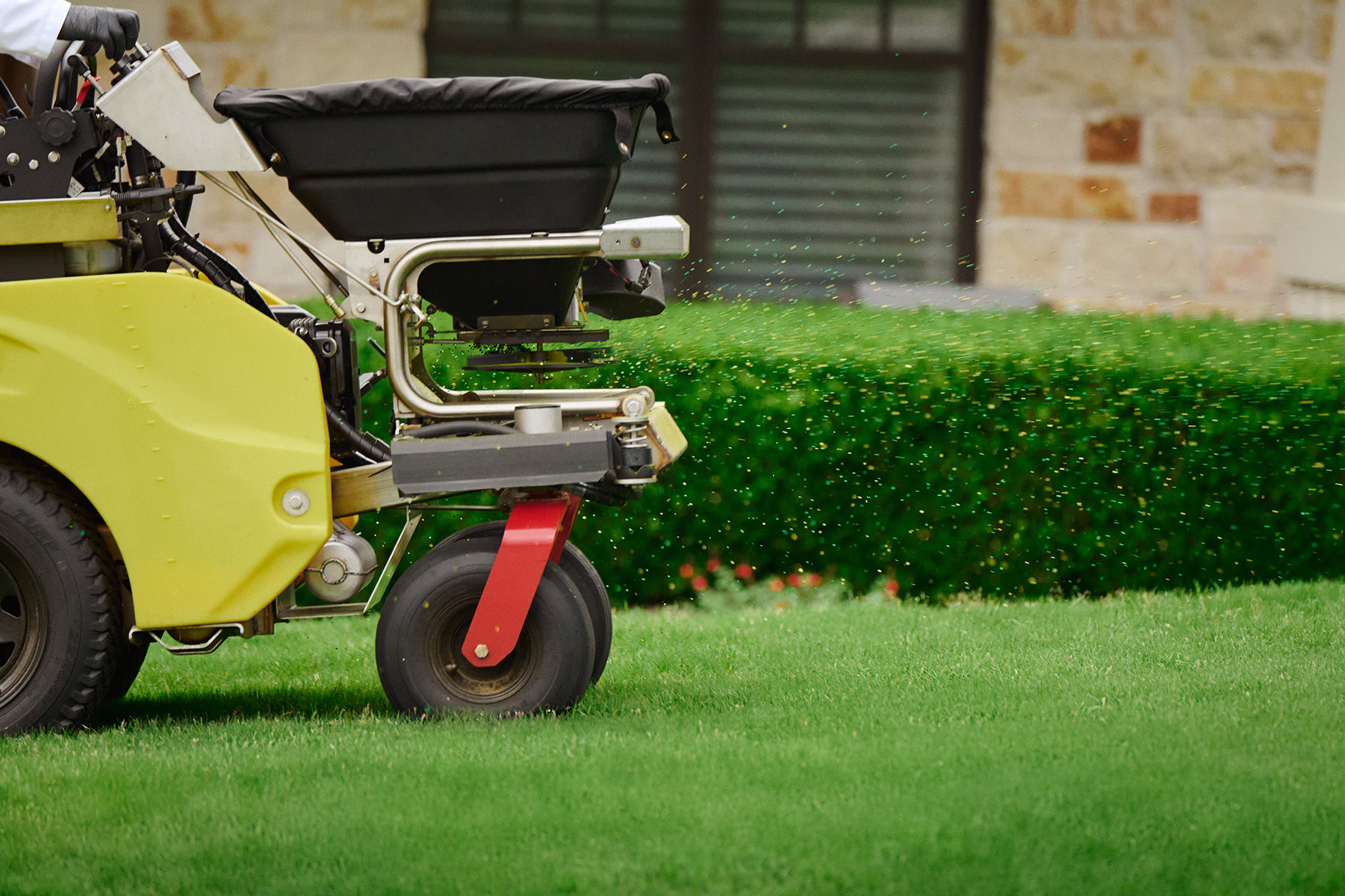 fave detail granular fertilizer application grass shrub home