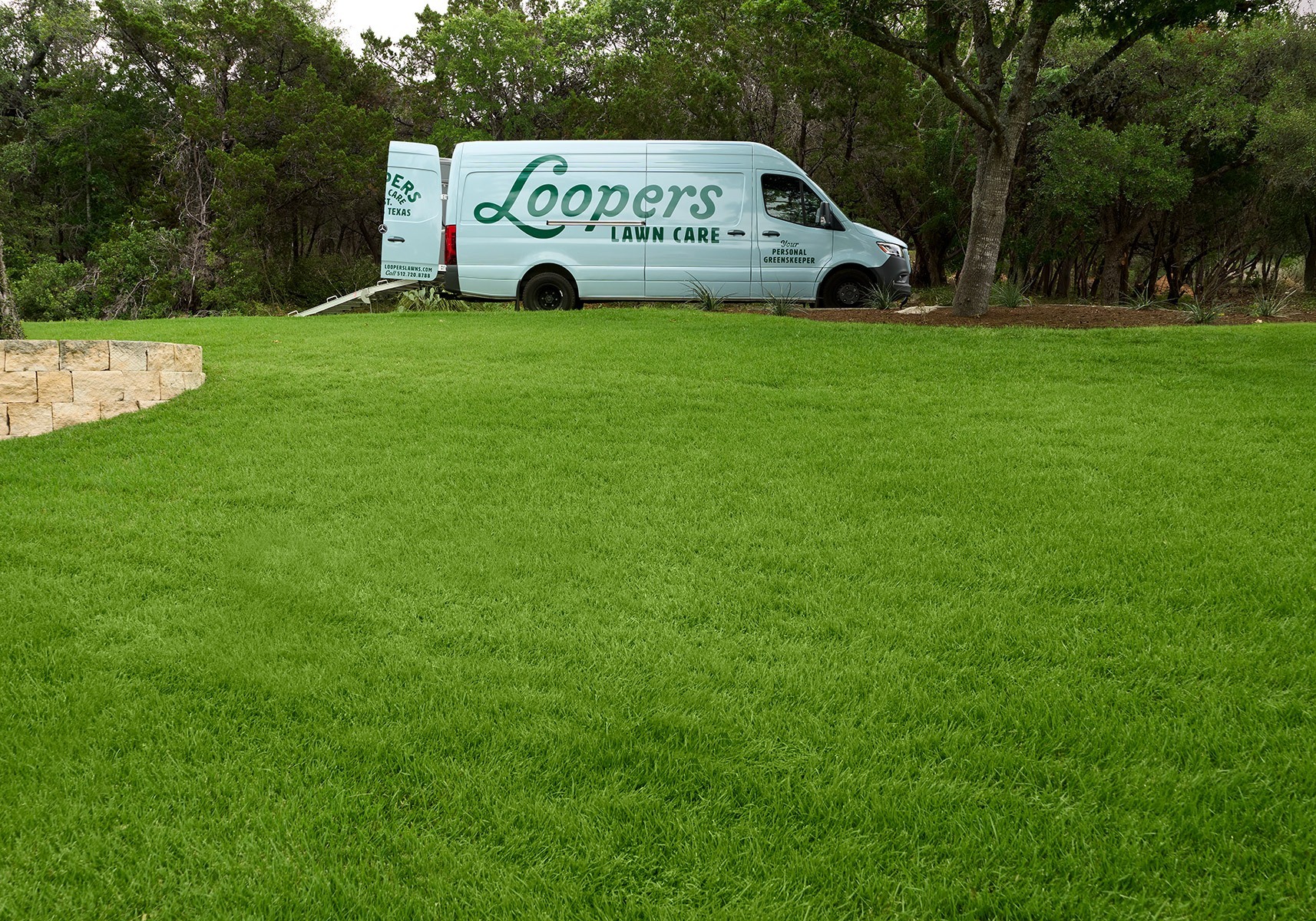 fave loopers van nice green grass lawn