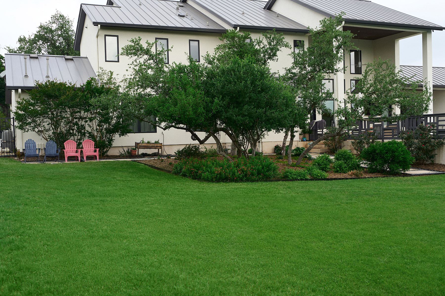 nice green grass lawn home landscape