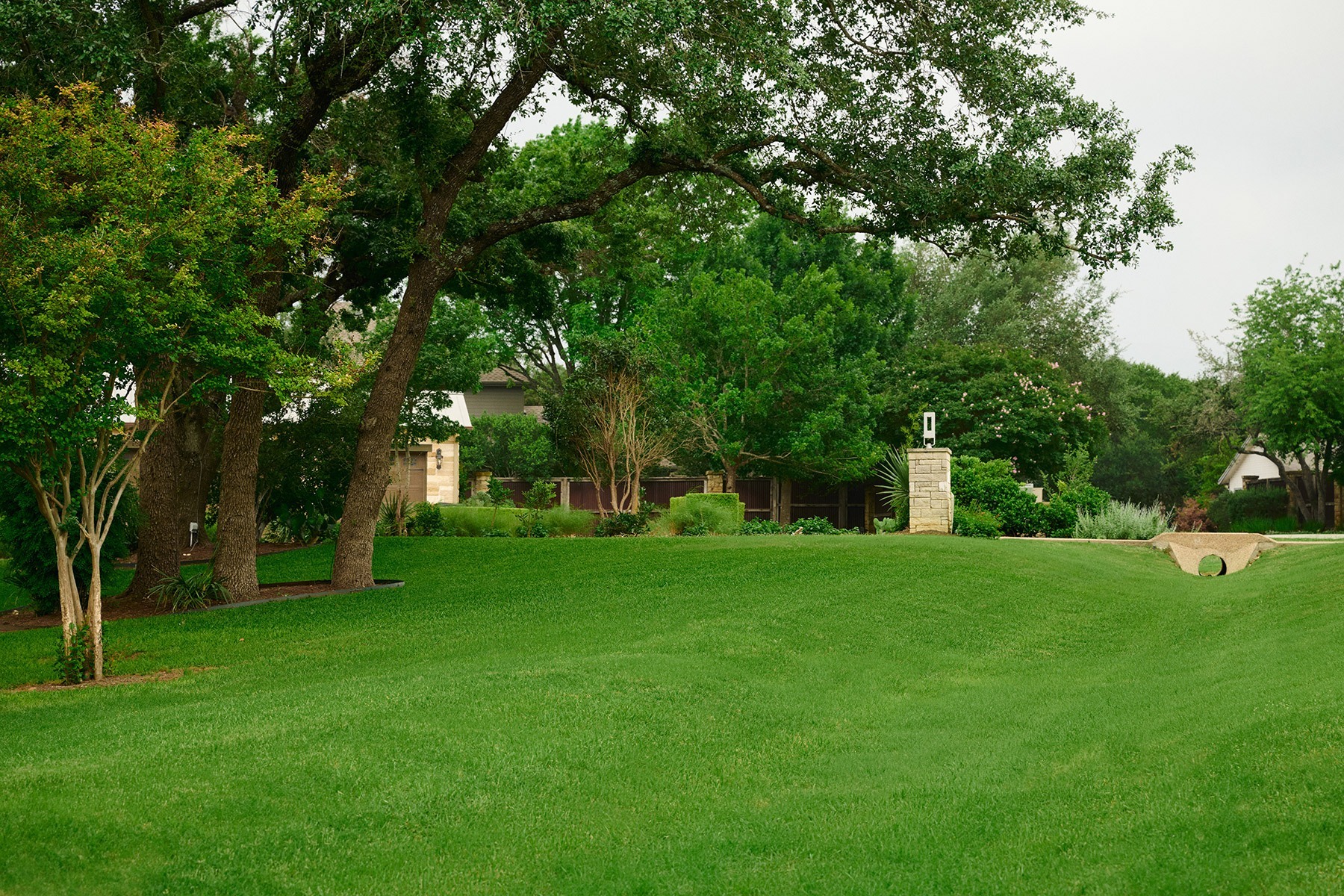 nice green grass lawn