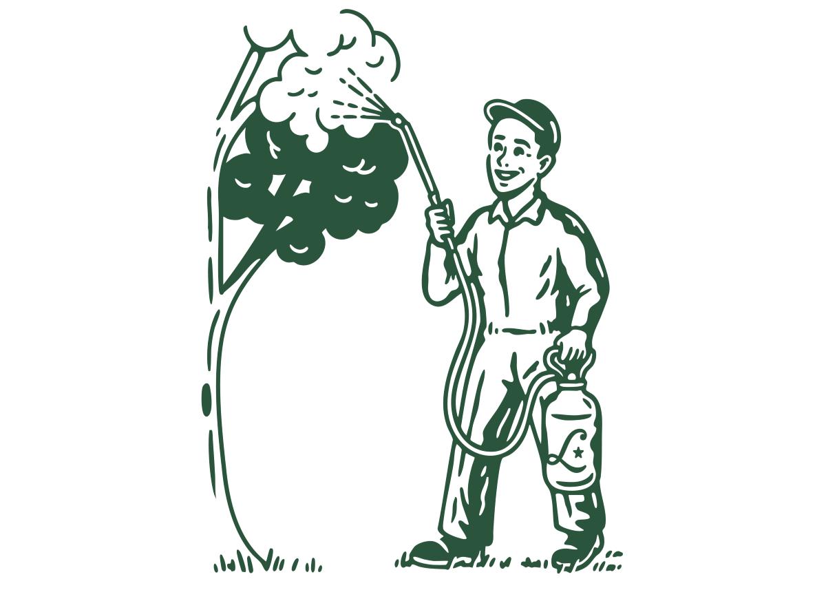 LOOPERS ILLUSTRATIONS_SERVICES-tree_crop