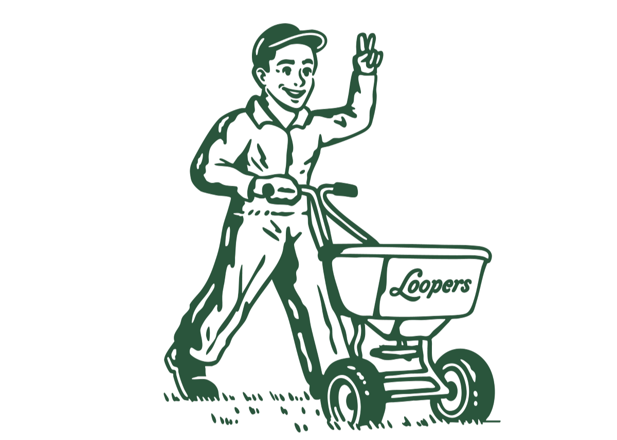 Loopers_Illustrations-Lou_crop