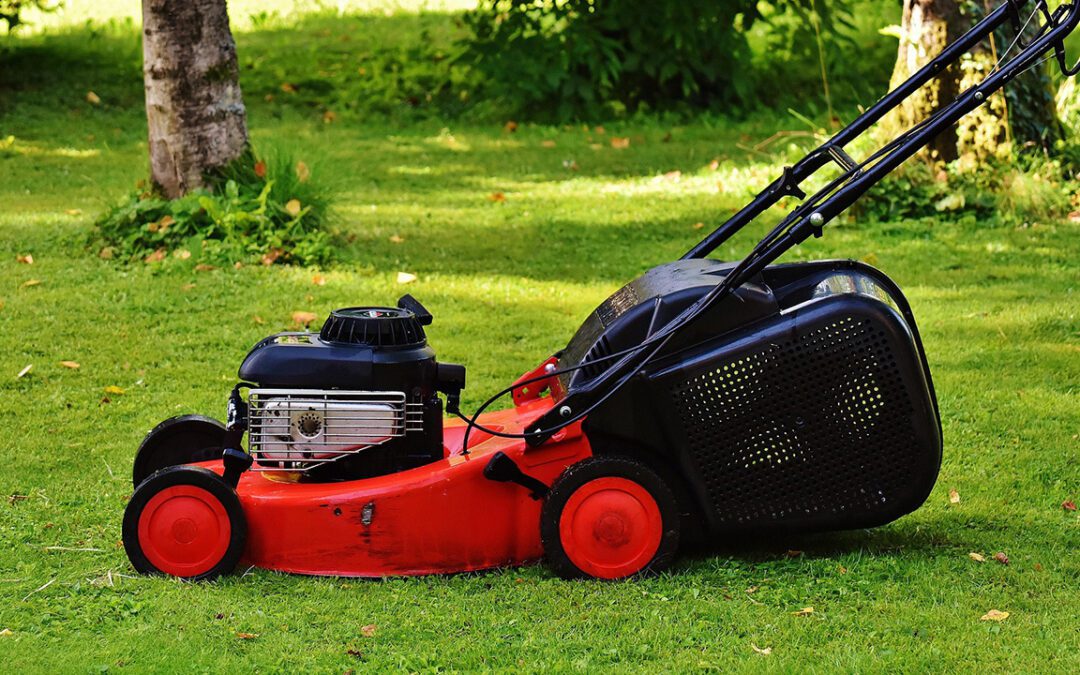 New Year, New Lawn Goals: Build Your 2026 Lawn Care Strategy Like a Pro