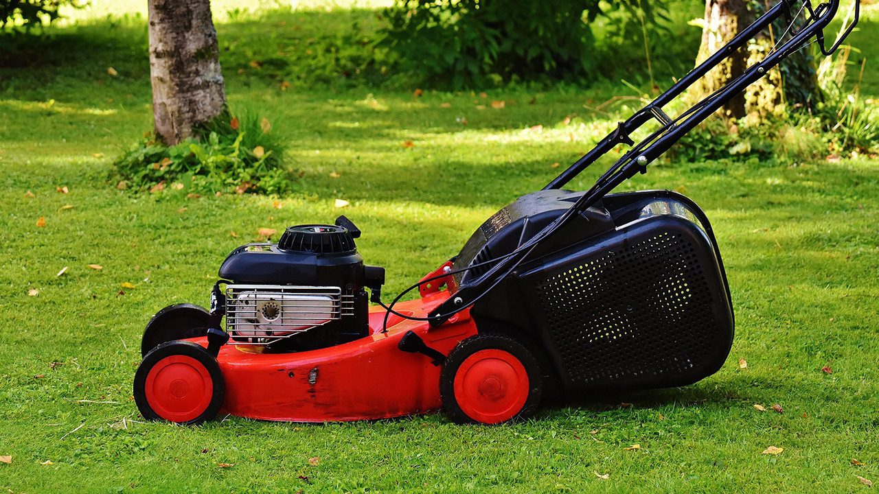 New Year, New Lawn Goals: Build Your 2026 Lawn Care Strategy Like a Pro