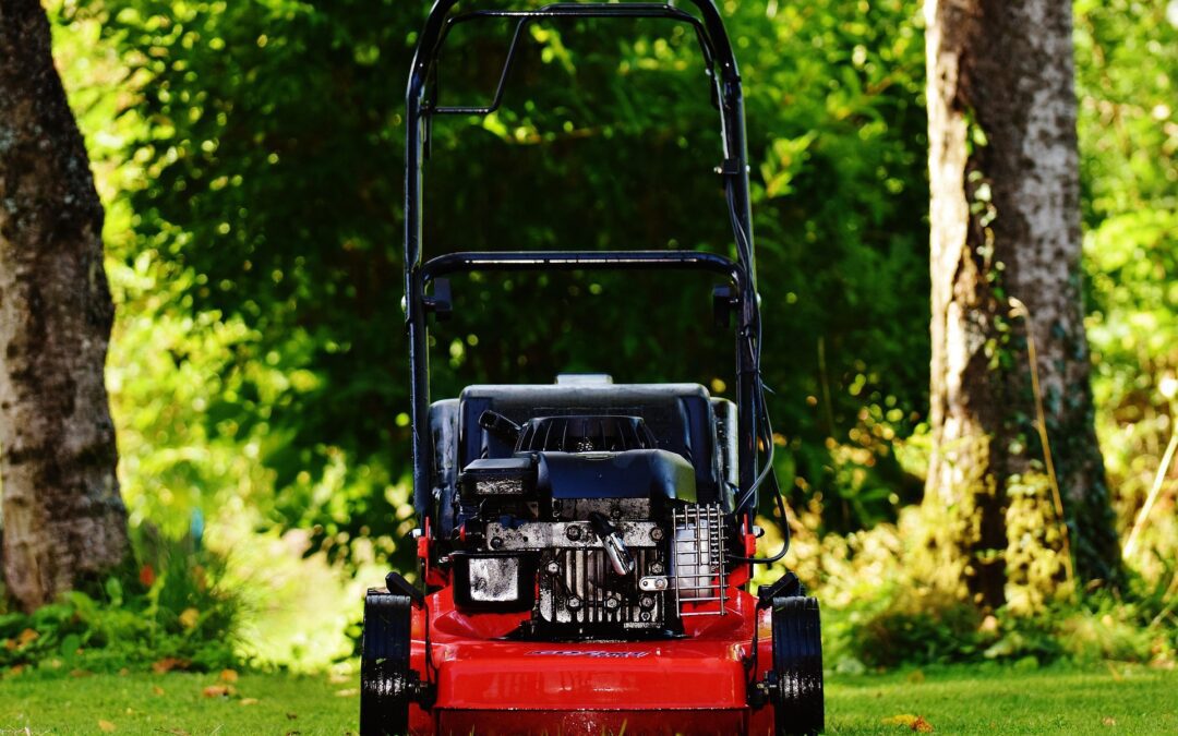 Sharpen Up: Why Your Mower Blade and Mowing Height Matter Before Spring