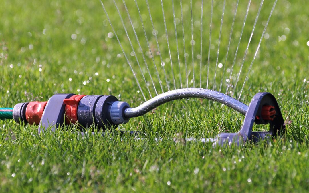 Texas Sun: How to Prepare Your Austin Lawn for Summer Heat