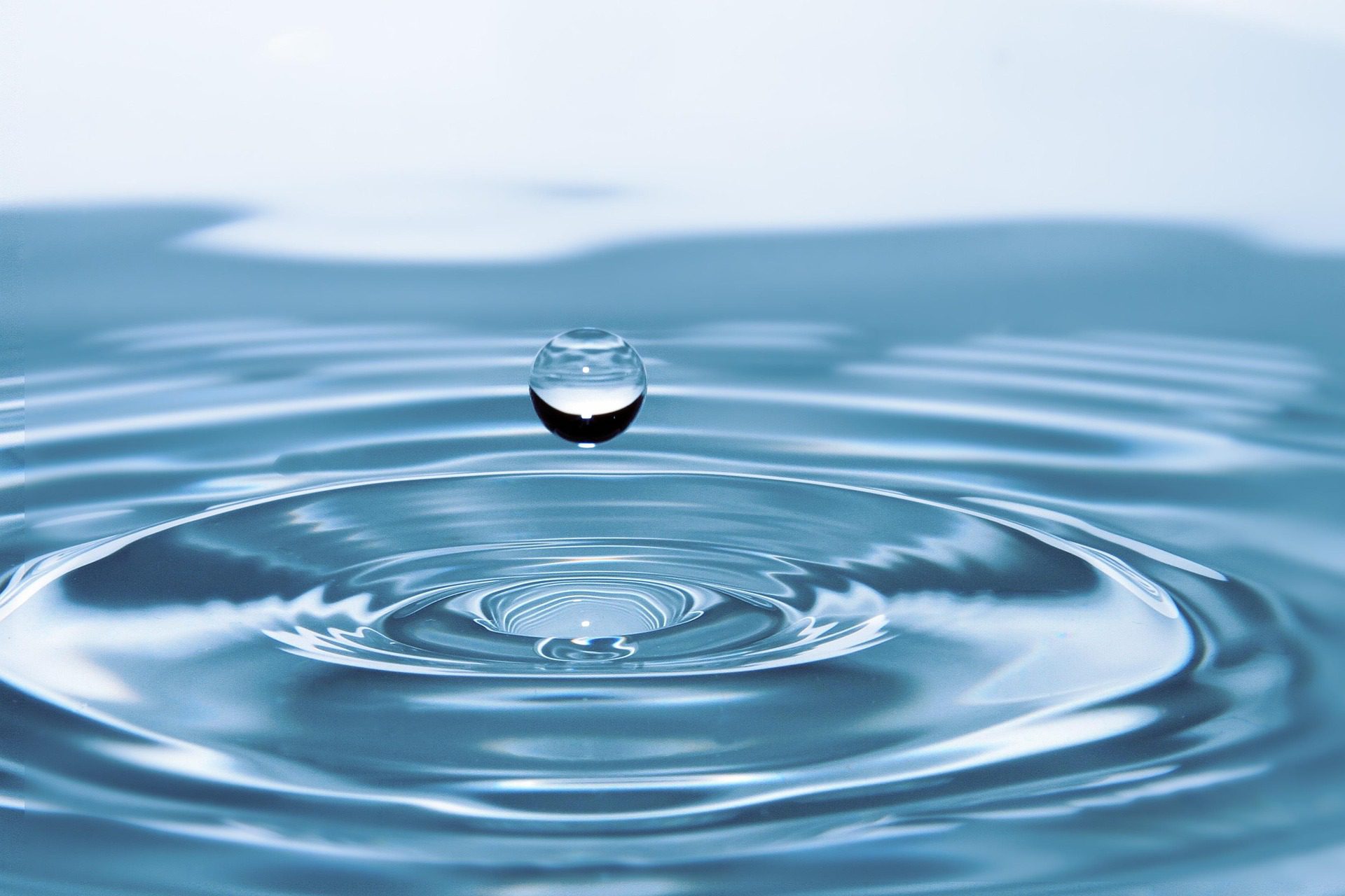 Liquid aeration treatment helping an Austin lawn absorb water and reduce runoff